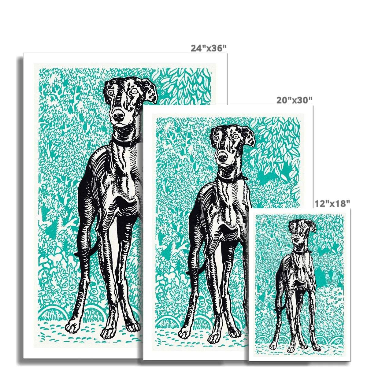 Greyhound By Moriz Jung Fine Art Print - Posters Prints & Visual Artwork - Aesthetic Art