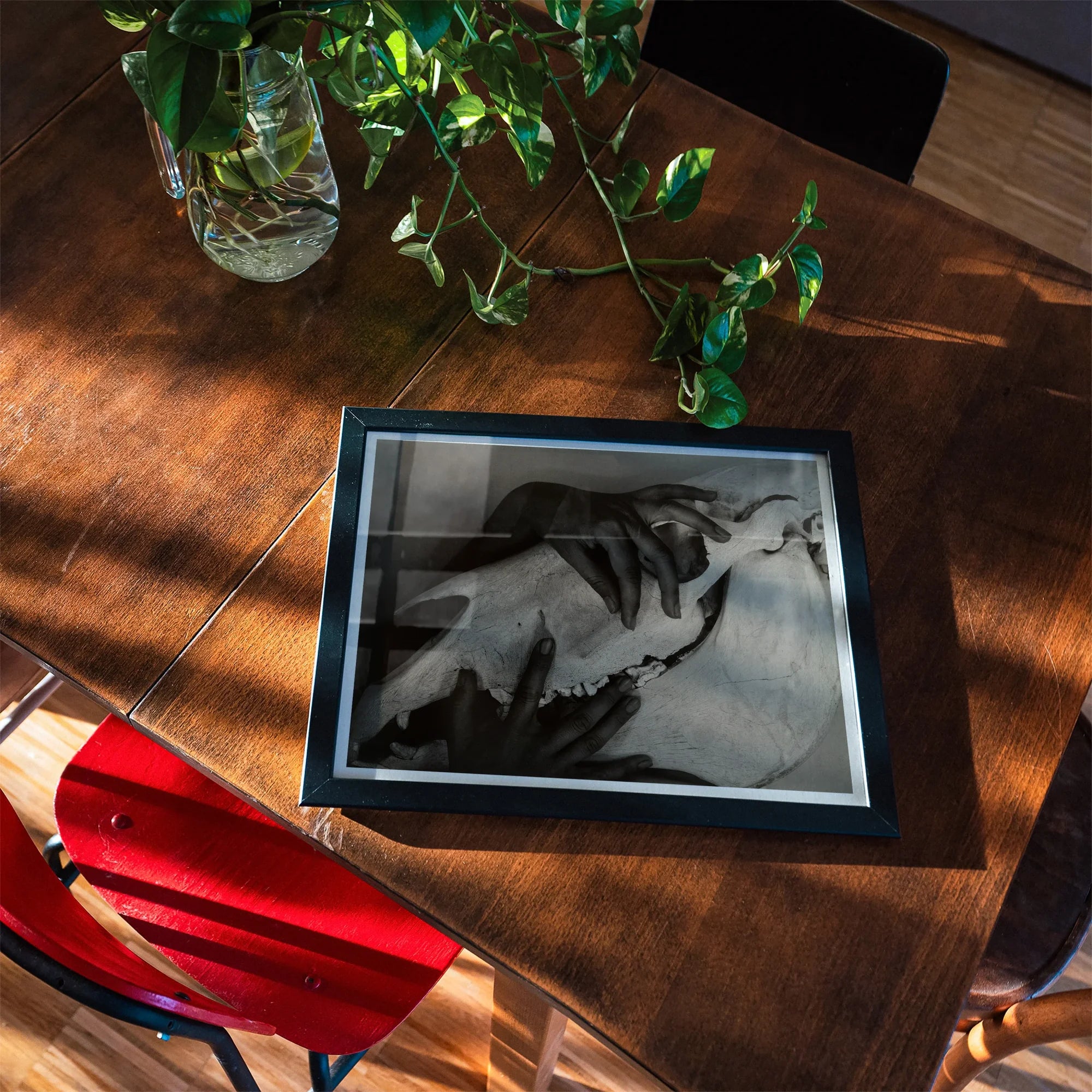 Hands and Horse Skull - Alfred Stieglitz Art Print, Black-framed Photograph Wooden Surface