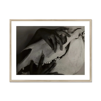 Hands and Horse Skull - Alfred Stieglitz Art Print, Black White Photograph Hands Fabric Cloth Dramatic Shadows