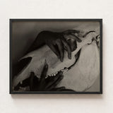 Black-framed Black-and-white Photographic Print Hand Gently Skull Alfred Stieglitz’s Haunting Hands, Horse Photograph, Stieglitz Art