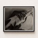 Black-framed Black-and-white Photographic Print Hand Gently Animal Skull Alfred Stieglitz’s Haunting Hands, Horse Photograph, Stieglitz Art