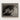 Black-framed Black-and-white Photographic Print Hand Gently Animal Skull Alfred Stieglitz’s Haunting Hands, Horse Photograph, Stieglitz Art