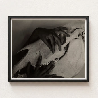 Black-framed Black-and-white Photographic Print Hand Gently Animal Skull Alfred Stieglitz’s Haunting Hands, Horse Photograph, Stieglitz Art