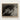 Black-and-white Framed Photograph Hands Gently Skull Alfred Stieglitz’s Haunting, Horse, Stieglitz Art Print