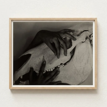 Black-and-white Framed Photograph Hands Gently Skull Encased Light Alfred Stieglitz’s Haunting, Horse, Stieglitz Art Print