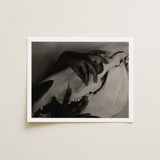 Black-and-white Framed Photograph Hands Gently Skull Alfred Stieglitz’s Haunting, Horse, Stieglitz Art Print