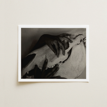 Black-and-white Framed Photograph Hands Gently Skull Alfred Stieglitz’s Haunting, Horse, Stieglitz Art Print