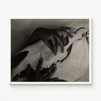 Black-and-white Framed Photograph Hand Gently Animal Skull Alfred Stieglitz’s Haunting Hands, Horse, Stieglitz Art Print