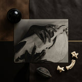 Hands and Horse Skull - Alfred Stieglitz Art Print / Canvas Black Spherical Object Glossy Finish Alfred Stieglitz’s Haunting Hands, Horse