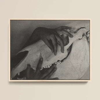 Hands and Horse Skull - Alfred Stieglitz Art Print / Canvas Black-and-white Framed Artwork Hands Gently Skull Alfred Stieglitz’s Haunting