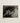 Black-and-white Photographic Print Hands Gently Skull Alfred Stieglitz’s Haunting, Horse Photograph, Stieglitz Art
