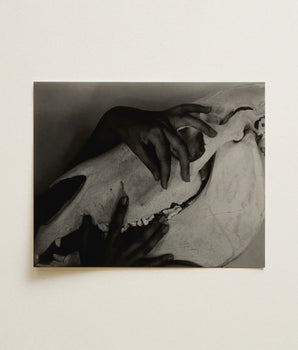 Black-and-white Photographic Print Hands Gently Skull Alfred Stieglitz’s Haunting, Horse Photograph, Stieglitz Art