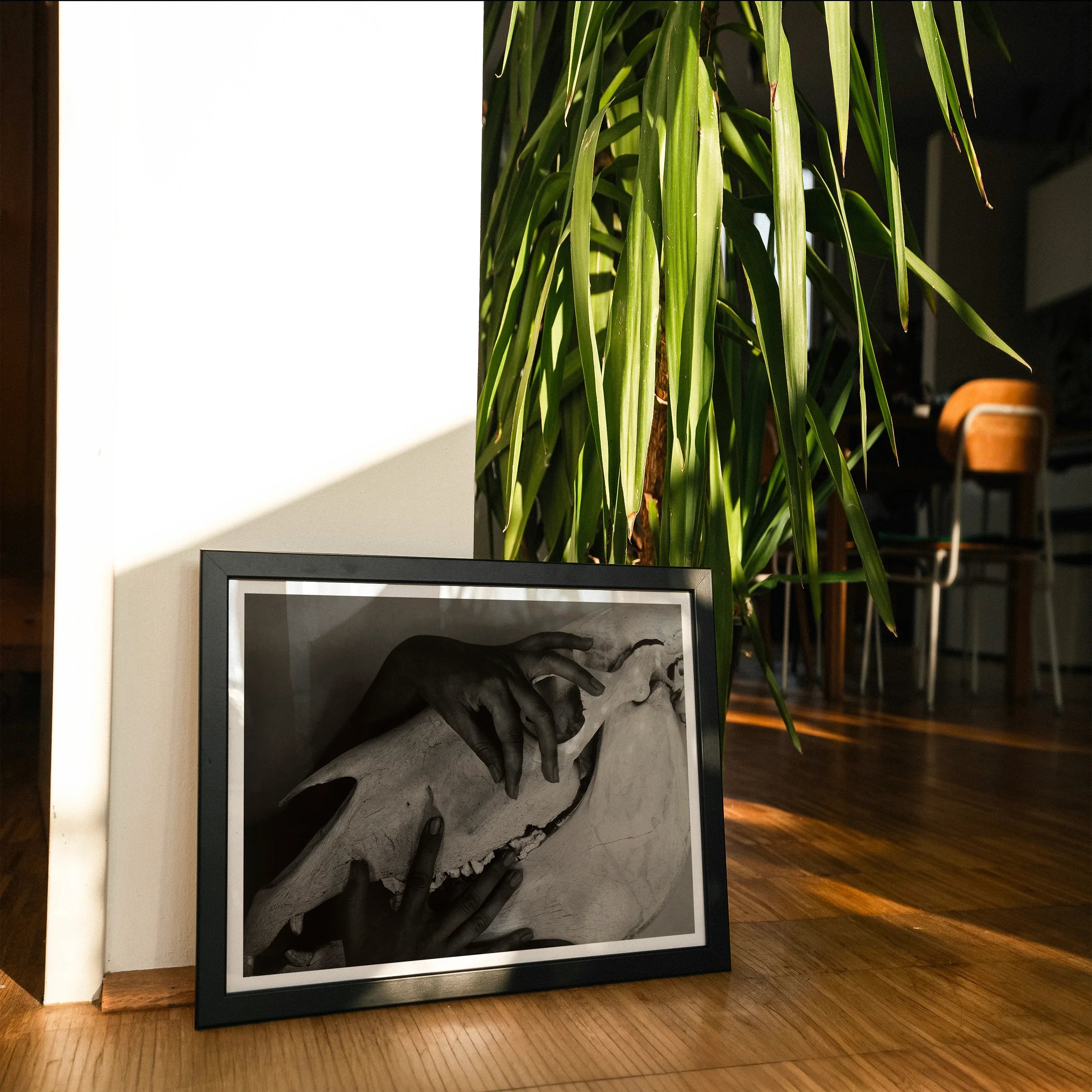 Hands and Horse Skull - Alfred Stieglitz Art Print