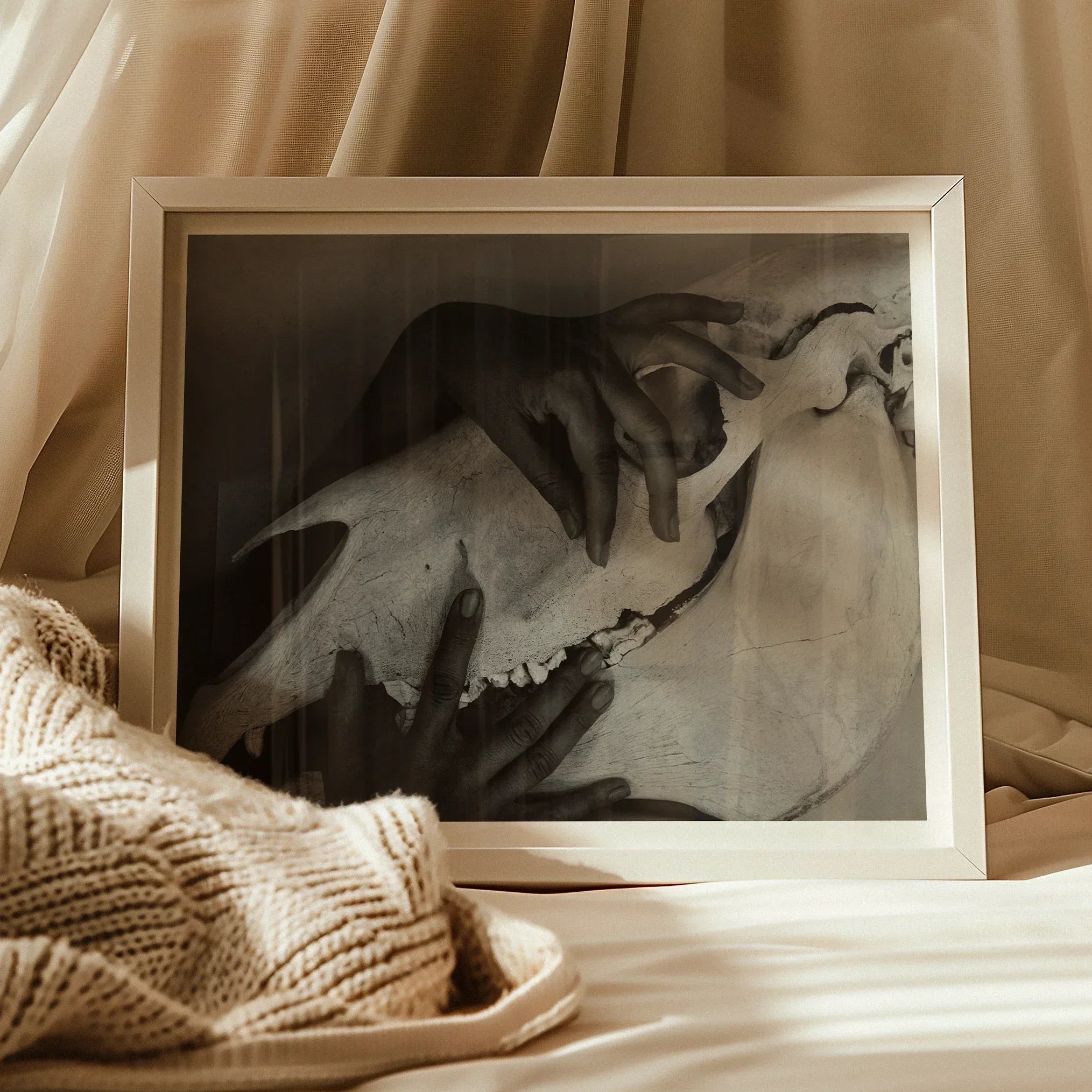 Hands and Horse Skull - Alfred Stieglitz Art Print, Framed Black White Photograph Alongside Knitted Fabric