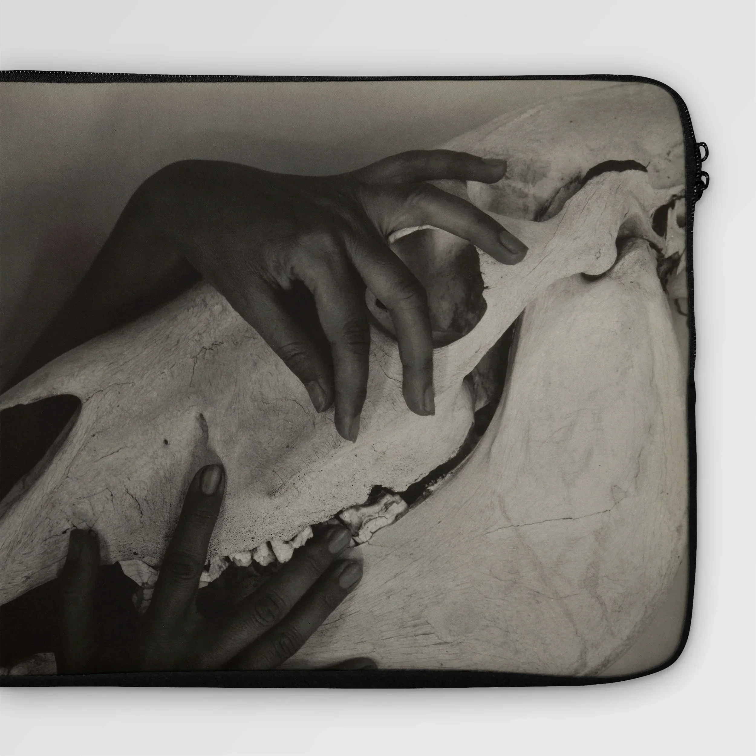 Hands and Horse Skull - Alfred Stieglitz Laptop Sleeve, Laptop Sleeve Black White Photograph Hands Animal Skull