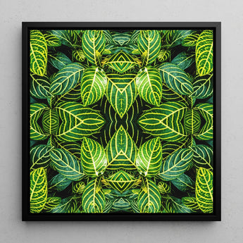 Just the Headlines - Trippy Fractal Leaf Art Print / Canvas, 12x12’’ / 31x31cm / Black Frame, Posters Prints & Visual Artwork, Toby Leon