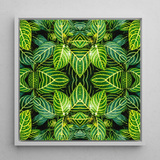 Just the Headlines - Trippy Fractal Leaf Art Print / Canvas, 12x12’’ / 31x31cm / White Frame, Posters Prints & Visual Artwork, Toby Leon