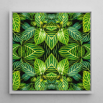 Just the Headlines - Trippy Fractal Leaf Art Print / Canvas, 12x12’’ / 31x31cm / White Frame, Posters Prints & Visual Artwork, Toby Leon