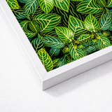 White-framed Artwork Vibrant Close-up Green Leaves Yellow Veins Trippy Fractal Leaf, Kaleidoscopic Print, Verdant Vortex
