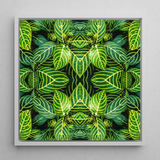 Just the Headlines - Trippy Fractal Leaf Art Print / Canvas Square-framed Artwork Vibrant Symmetrical Pattern Green Leaves Yellow Trippy