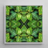 Just the Headlines - Trippy Fractal Leaf Art Print / Canvas, Trippy Fractal Leaf, Kaleidoscopic Leaf Print, Verdant Vortex