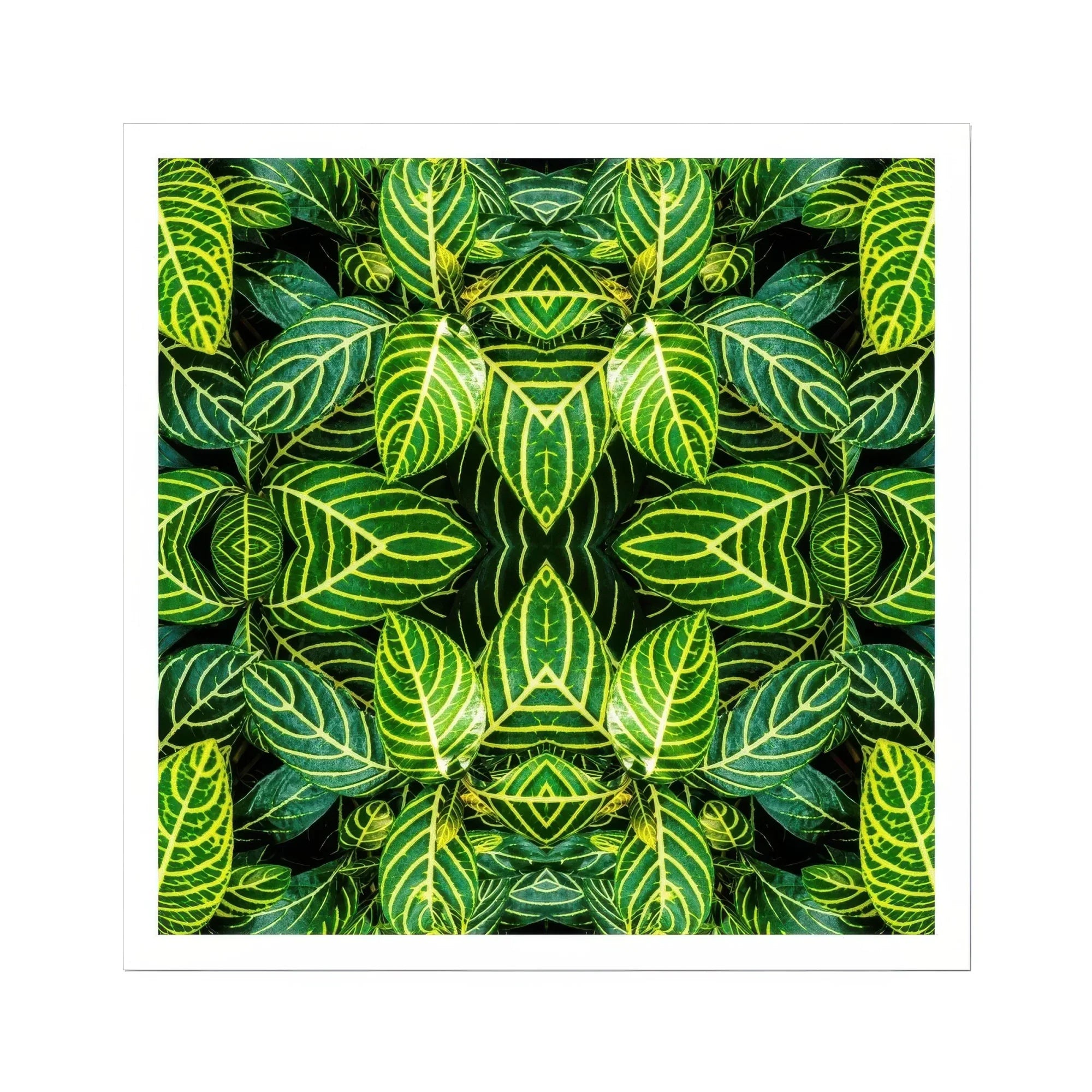 Just the Headlines - Trippy Fractal Leaf Art Print Posters Prints & Visual Artwork