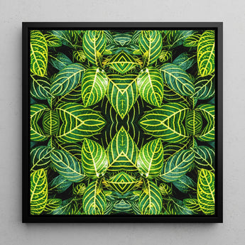 Just the Headlines - Trippy Fractal Leaf Framed Canvas, 12x12’’ / 31x31cm / Black Floating Frame, Symmetrical Kaleidoscopic Pattern Vibrant
