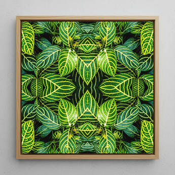 Just the Headlines - Trippy Fractal Leaf Framed Canvas, 12x12’’ / 31x31cm / Natural Floating Frame, Framed Square Wall Art Symmetrical