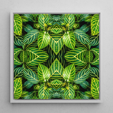 Just the Headlines - Trippy Fractal Leaf Framed Canvas, 12x12’’ / 31x31cm / White Floating Frame, Symmetrical Green Leaf Pattern White Frame