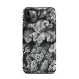 Hexacoralla Six-rayed Star Corals - Ernst Haeckel Iphone Case, 11 Pro Max / Matte, Black White Coral-patterned Phone Case