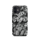 Hexacoralla Six-rayed Star Corals - Ernst Haeckel Iphone Case, 12 / Matte, Coral-patterned Phone Case