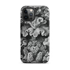 Hexacoralla Six Rayed Star Corals Ernst Haeckel Iphone Case, 12 Pro Max / Matte, Black White Coral Patterned Phone Case