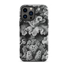 Hexacoralla Six Rayed Star Corals Ernst Haeckel Iphone Case, 13 Pro Max / Matte, Black White Coral Patterned Phone Case