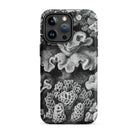 Hexacoralla Six Rayed Star Corals Ernst Haeckel Iphone Case, 15 Pro Max / Matte, Black White Coral Patterned Phone Case