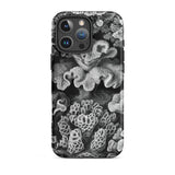 Hexacoralla Six-rayed Star Corals - Ernst Haeckel Iphone Case, 16 Pro Max / Matte, Coral-patterned Phone Case