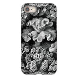 Hexacoralla Six-rayed Star Corals - Ernst Haeckel Iphone Case, 8 / Matte, Coral-patterned Phone Case