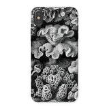 Hexacoralla Six-rayed Star Corals - Ernst Haeckel Iphone Case, x / Matte, Coral-patterned Phone Case