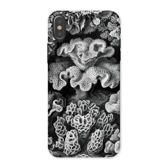 Hexacoralla Six-rayed Star Corals - Ernst Haeckel Iphone Case, x / Matte, Coral-patterned Phone Case