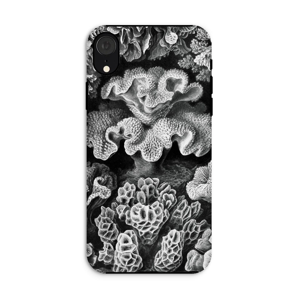 Hexacoralla Six-rayed Star Corals - Ernst Haeckel Iphone Case, Xr / Matte, Black White Coral-patterned Phone Case