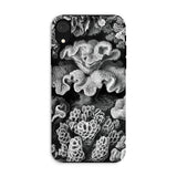 Hexacoralla Six-rayed Star Corals - Ernst Haeckel Iphone Case, Xr / Matte, Black White Coral-patterned Phone Case