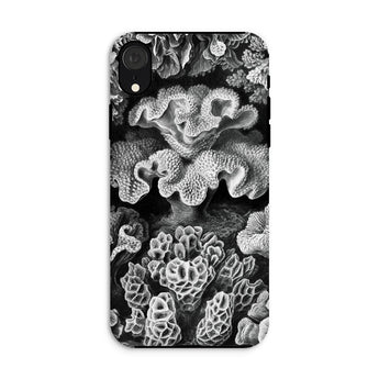 Hexacoralla Six-rayed Star Corals - Ernst Haeckel Iphone Case, Xr / Matte, Black White Coral-patterned Phone Case