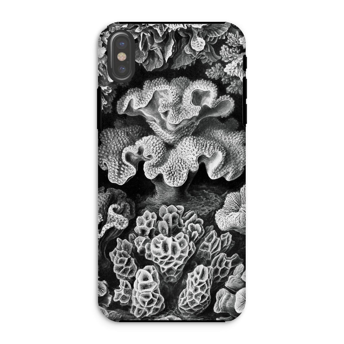 Hexacoralla Six-rayed Star Corals - Ernst Haeckel Iphone Case, Xs / Matte, Coral-patterned Phone Case