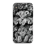 Hexacoralla Six-rayed Star Corals - Ernst Haeckel Iphone Case, Xs / Matte, Coral-patterned Phone Case