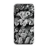 Hexacoralla Six-rayed Star Corals - Ernst Haeckel Iphone Case, Xs Max / Matte, Coral-patterned Phone Case