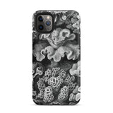Hexacoralla Six-rayed Star Corals - Ernst Haeckel Phone Case Iphone 11 Pro Max / Matte Black White Coral-patterned Phone Case Ernst
