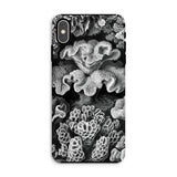 Hexacoralla Six-rayed Star Corals - Ernst Haeckel Phone Case Iphone Xs Max / Matte Coral-patterned Phone Case Ernst Haeckel, Sixfold