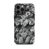 Hexacoralla Six-rayed Star Corals - Ernst Haeckel Phone Case Iphone 13 Pro Max / Matte Black White Coral-patterned Phone Case Ernst