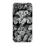 Hexacoralla Six-rayed Star Corals - Ernst Haeckel Phone Case Iphone x / Matte Coral-patterned Phone Case Ernst Haeckel, Sixfold Symmetry