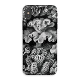 Hexacoralla Six-rayed Star Corals - Ernst Haeckel Phone Case Iphone Xs / Matte Coral-patterned Phone Case Ernst Haeckel, Sixfold Symmetry