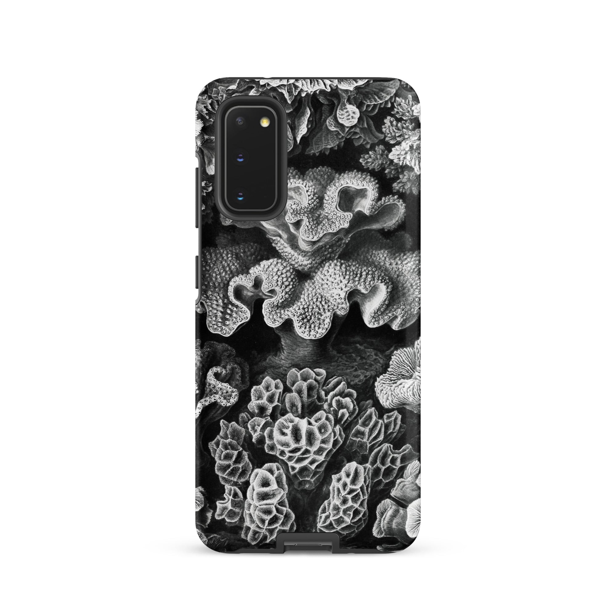 Hexacoralla Six Rayed Star Corals Ernst Haeckel Samsung Case, Galaxy S20 / Matte, Smartphone Black White Coral Reef Design